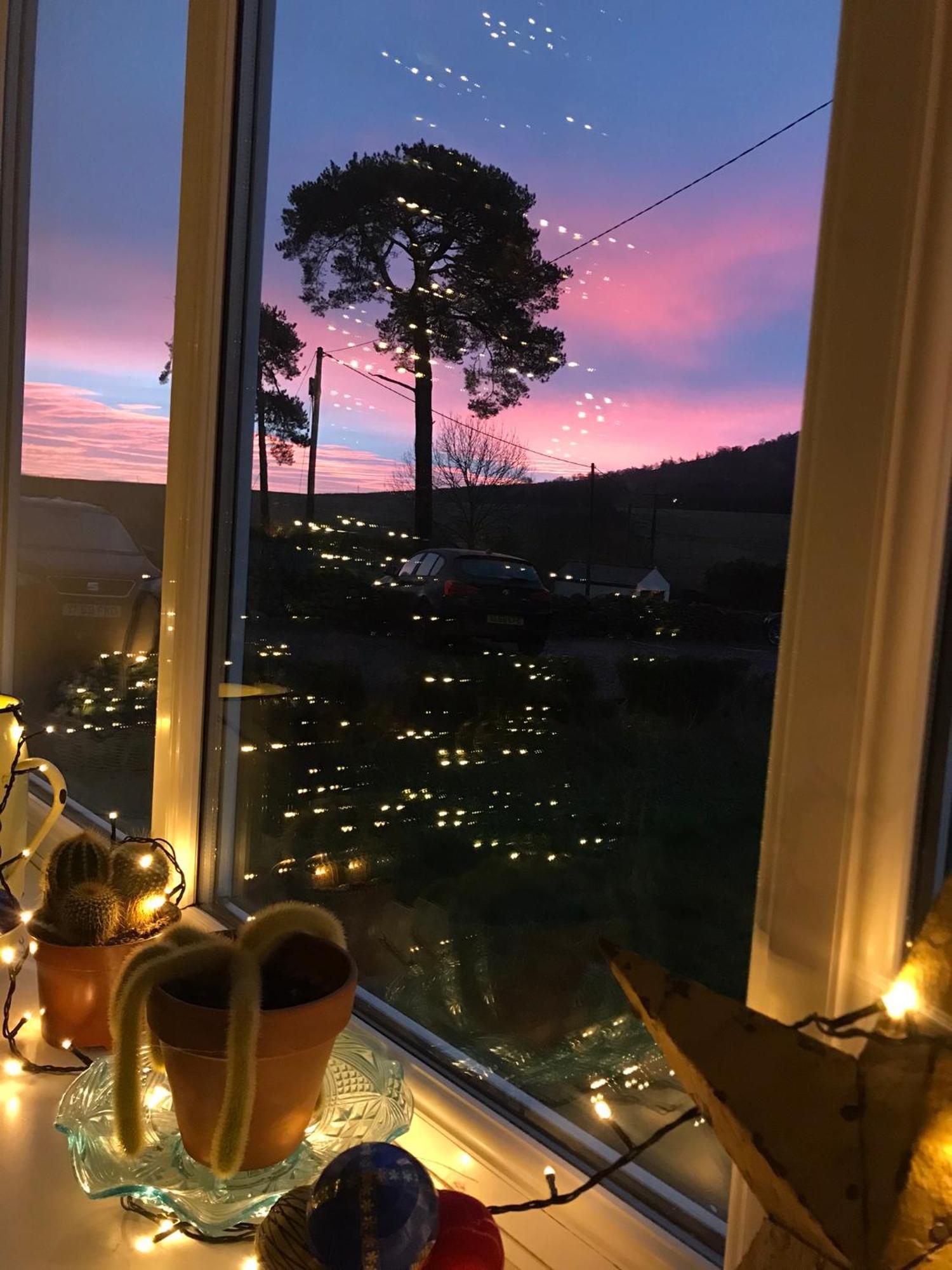 Bed & Breakfast Netherdene
