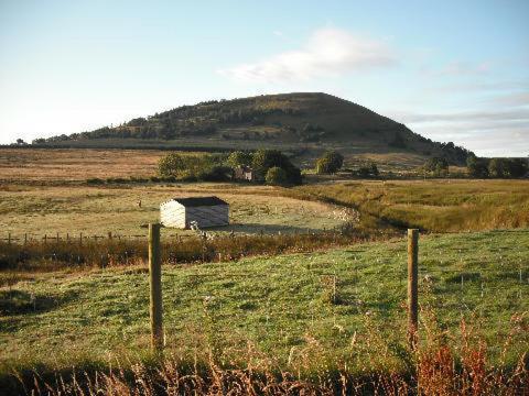 Netherdene
